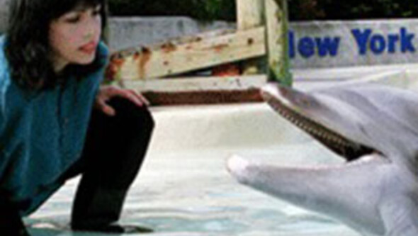 Diana Reiss and a dolphin