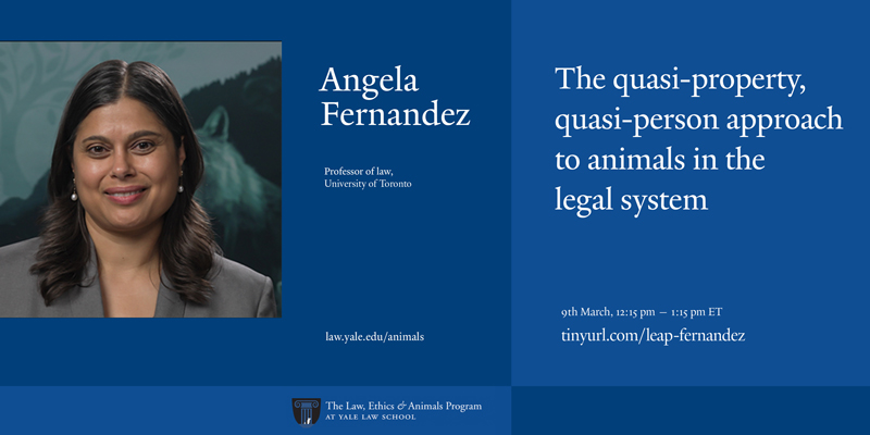 LEAP event: The Quasi-Property, Quasi-Person Aapproach to Animals in the Legal System, with Angela Fernandez