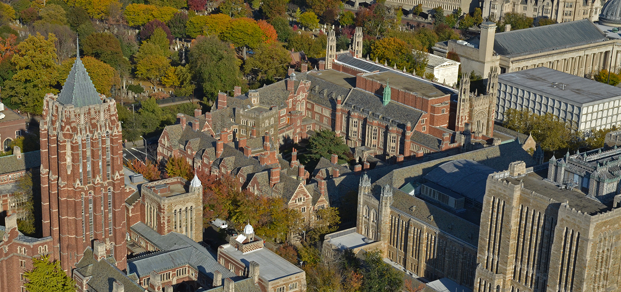 Шкала йеля брауна пройти. Университет Yale Law School. Йельский университет кампус экскурсия. Йельский университет Ашкенази. Юридический университет в Америке Йель.