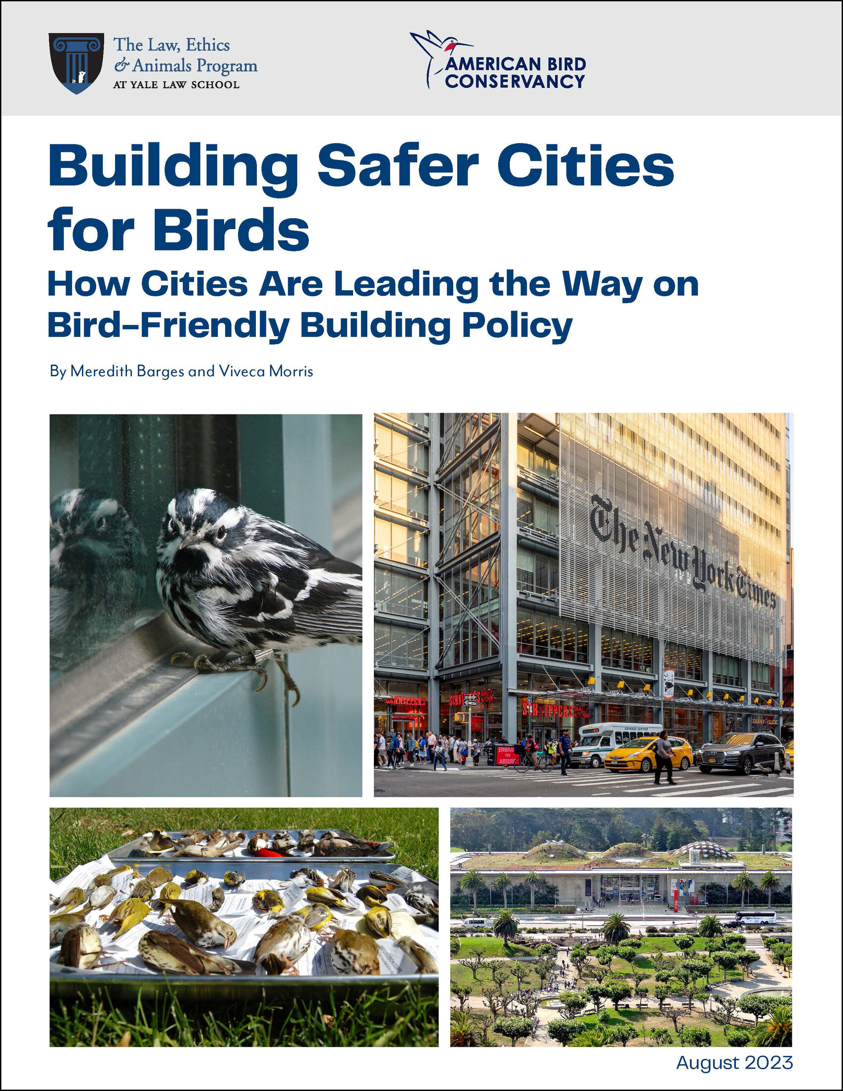 Report Cover: Building Safer Cities for Birds: How Cities Are Leading the Way on Bird-Friendly Building Policy