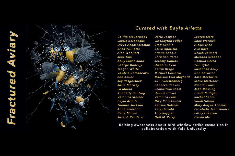 Q&A: Bayla and Andis Arietta Raise Awareness of Bird Fatalities Through Art