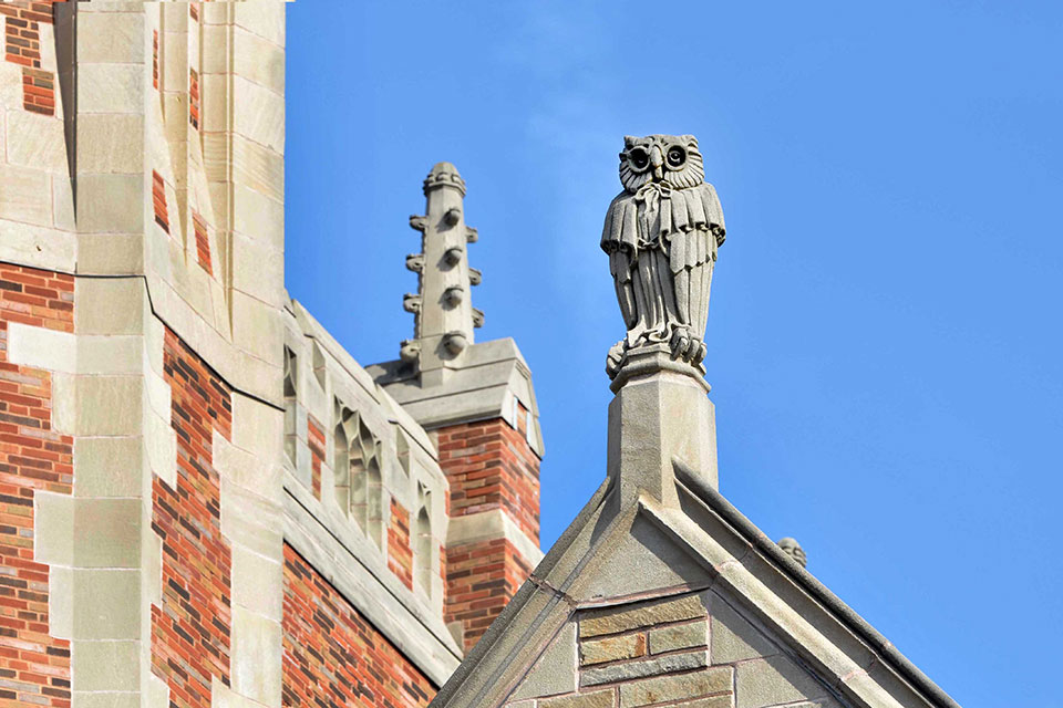 An owl sculptured in stone on the roof of Sterling Law Building