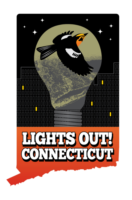 Lights Out Connecticut illustration with a bird in front a night sky framed by the outline of a light bulb and the state of Connecticut 