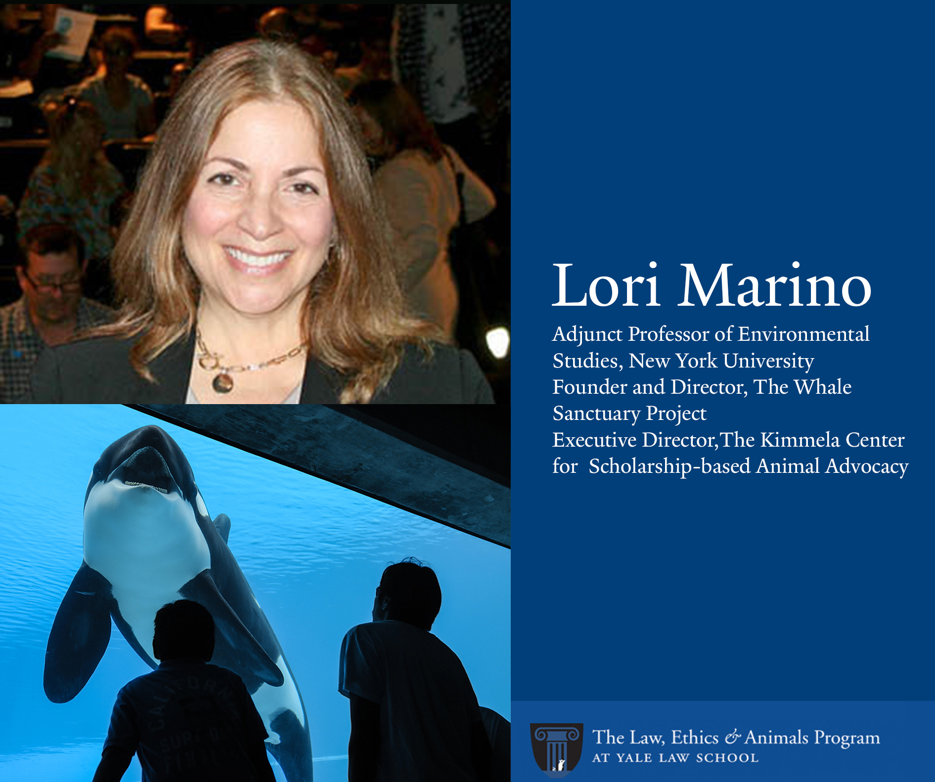 Text: Lori Marino, Adjunct Professor of Environmental Studies at New York University, founder and President of the Whale Sanctuary Project and Executive Director, The Kimmela Center for Scholarship-based Animal Advocacy. Photos: 1. Mariano 2. Orcas in an aquarium