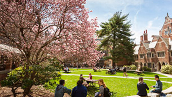 yls-courtyard-08-cropped305px.jpg