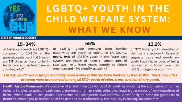 Sheet 1 LGBTQ+ Youth in the Child Welfare System