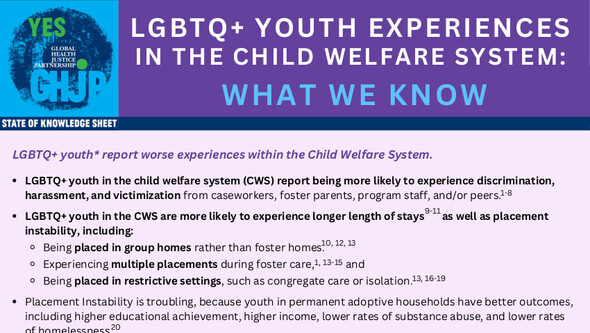 State of Knowledge Sheet 2 LGBTQ+ Youth  Experiences in the Child Welfare System