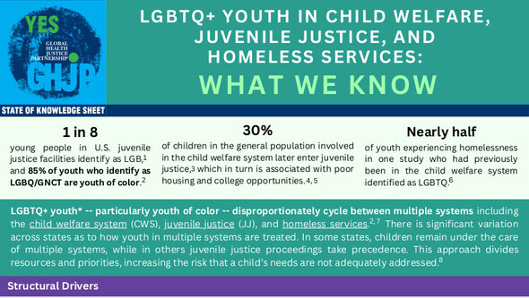 State of Knowledge Sheet 4 LGBTQ+ Youth in Child Welfare, Juvenile Justice, and Homeless Services