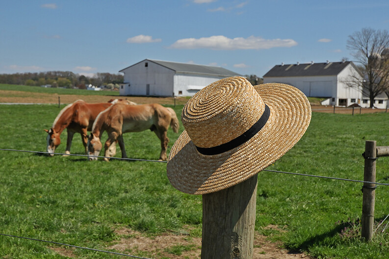 Amish hat on fencepost