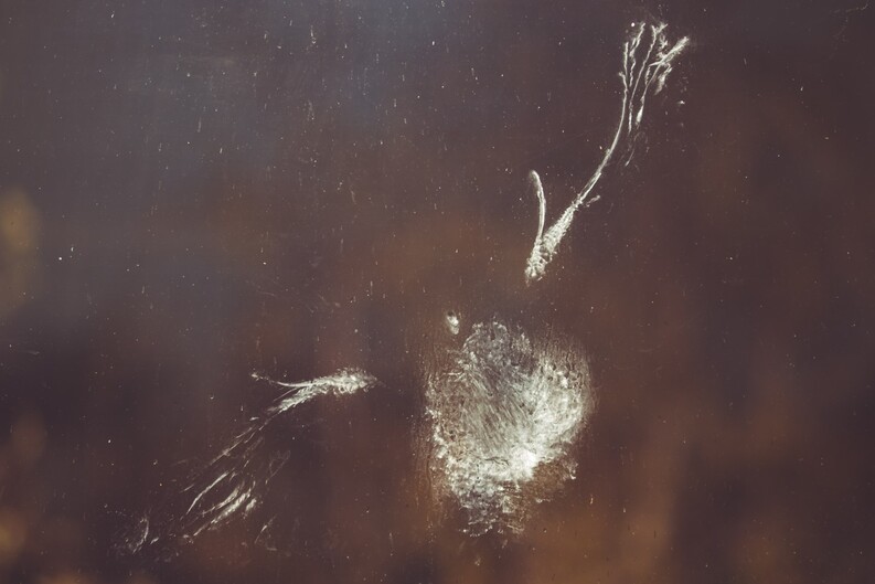 bird imprint on glass