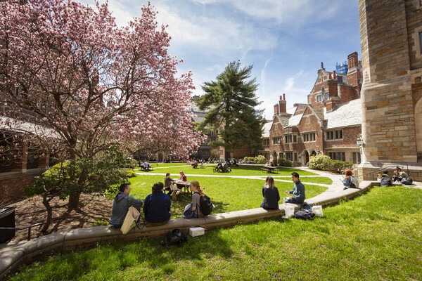 The Sol Goldman Courtyard on a sunny day with the magnolia tree in bloom and students eating and talking outdoors.