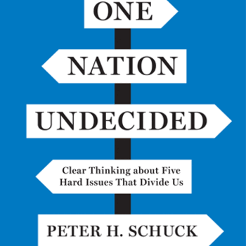 Book cover of One Nation Undecided
