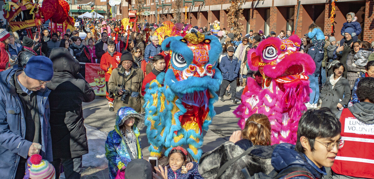 A parade of Chinese dragon dancers.