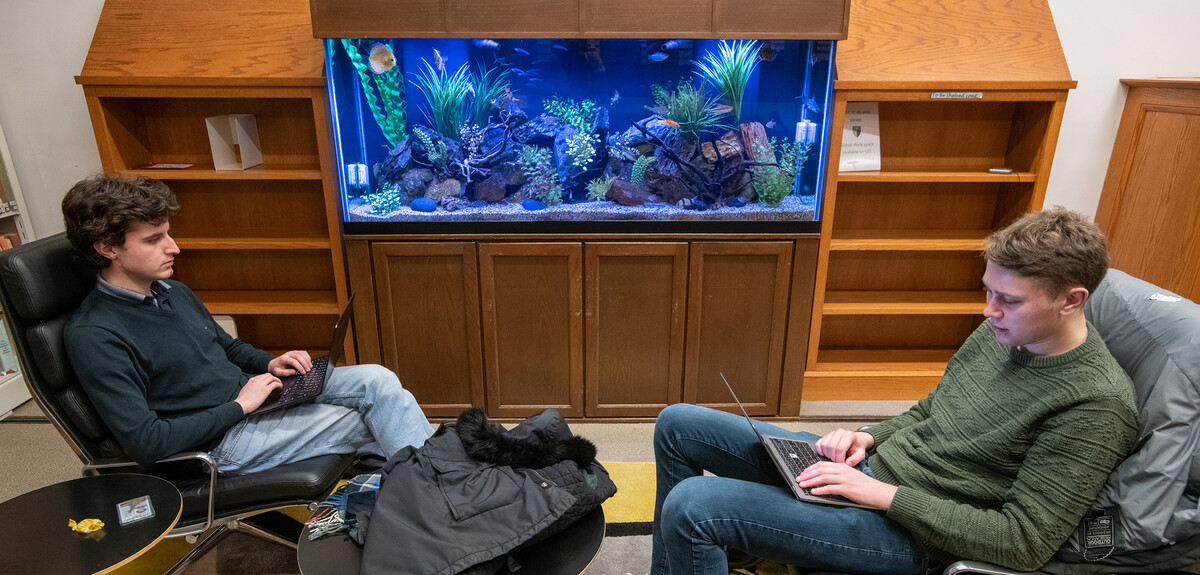 Fish tank in Law Library