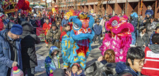 A parade of Chinese dragon dancers for LunarFest.