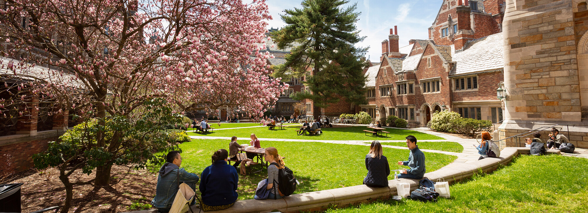 Students sitting in the Courtyard under the magnolia tree and blue sky