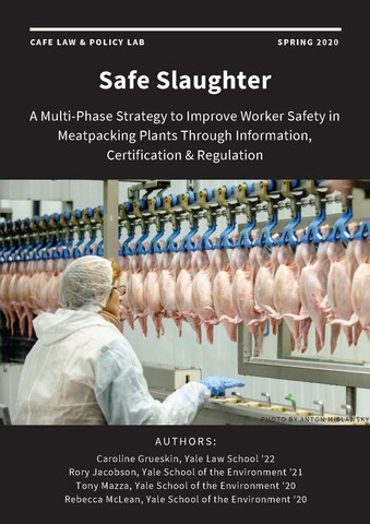 Safe Slaughter cover