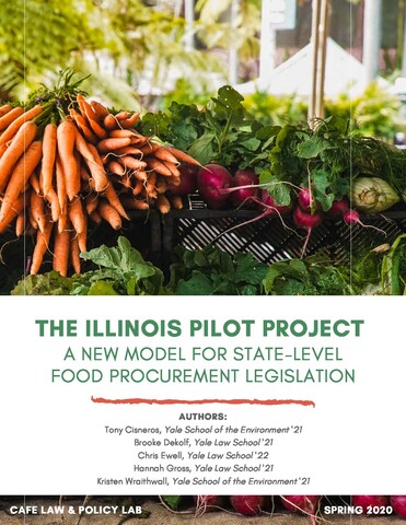The Illinois Pilot Project cover