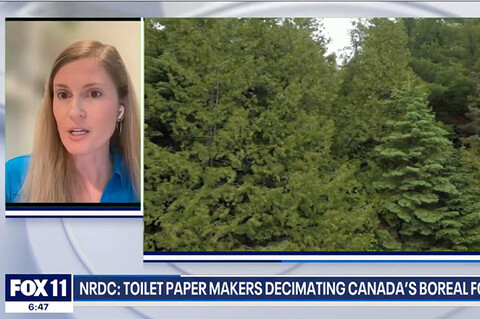 A screenshot of Jennifer Skene on a Fox News segment with an image of a forest
