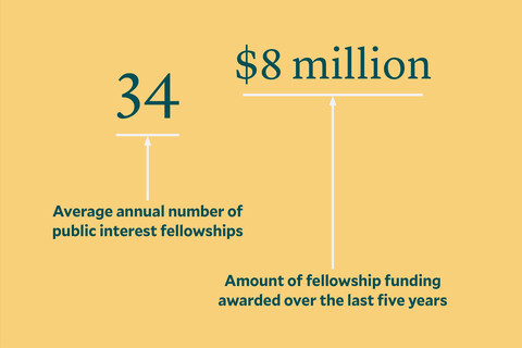 graphic showing statistics on fellowship funding