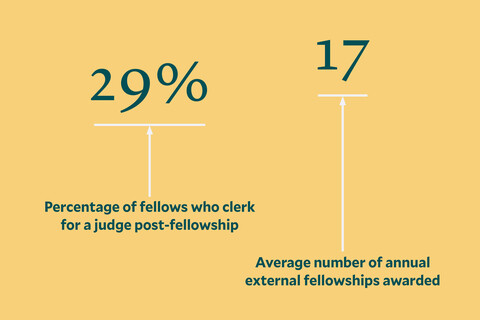 graphic showing percentages and averages for fellowships
