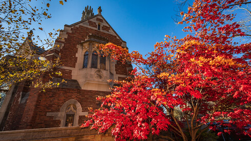 bright red tree in autumn against blue sky and the brick Yale Law School building