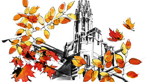 illustration of SLB in autumn