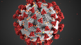 coronavirus-image.jpg