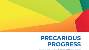 Precarious Progress report cover