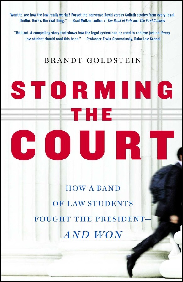 book cover of Storming the Court