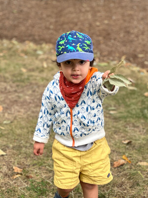 a child in a dinosaur hat holding up some leaves